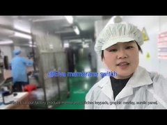 Tıbbi ekipman ve endüstriyel uygulamalar için özelleştirilmiş PET Membran Değiştiricisi